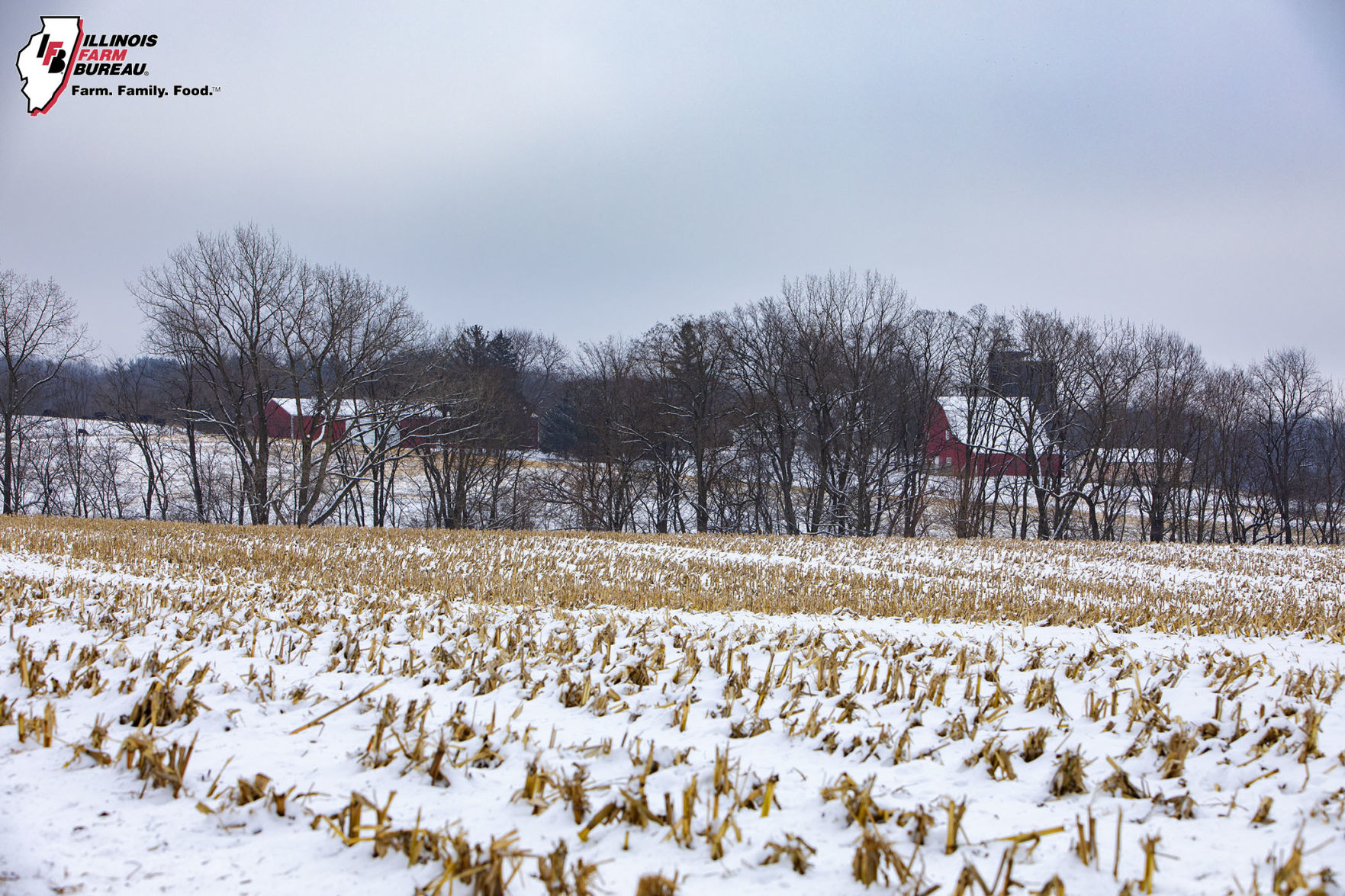 VEILED FARMSTEAD